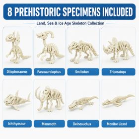 1PC 3D Printed Articulated Prehistoric Skeleton Figure, Bone-Like Display Model, Movable Desk Decor Collectible (Option: 1PC-PLA-Dilophosaurus)